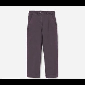 EUC Everlane Straight Leg Crop pants - short